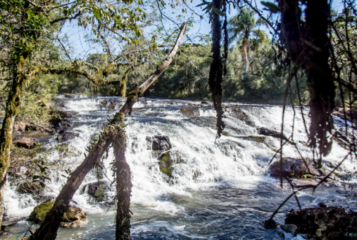 Foto de  Parques Ambientais do Município de Clevelândia